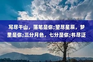 写尽千山，落笔是你;望尽星辰，梦里是你;三分月色，七分是你;书尽泛黄，扉页是你;繁华落尽,身边是你;行尽万水,尽头是你:千山万水，归处还是你。