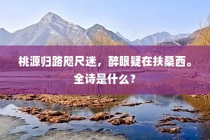桃源归路咫尺迷，醉眼疑在扶桑西。全诗是什么？