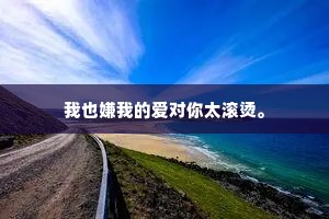 我也嫌我的爱对你太滚烫。
