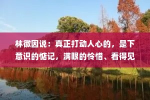 林徽因说：真正打动人心的，是下意识的惦记，满眼的怜惜、看得见的在乎、可以沟通的灵魂，以及别人给不了的安宁。
