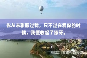 你从未驯服过我，只不过在爱你的时候，我便收起了獠牙。