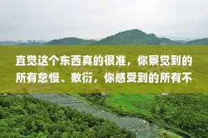 直觉这个东西真的很准，你察觉到的所有怠慢、敷衍，你感受到的所有不爱、不再关心，并不是因为敏感，而是事实。