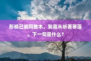 形槁已能同散木，鬓霜从听著寒蓬。下一句是什么？