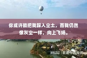 你或许能把我踩入尘土，而我仍然像灰尘一样，向上飞扬。