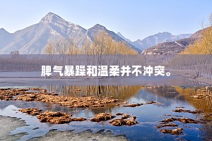 脾气暴躁和温柔并不冲突。