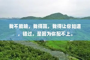 我不能输，我得赢，我得让你知道，错过，是因为你配不上。
