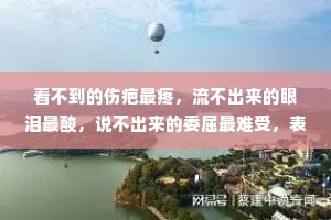 看不到的伤疤最疼，流不出来的眼泪最酸，说不出来的委屈最难受，表达不出来的情绪最压抑。最痛的事莫过于笑着不让眼泪掉下来。