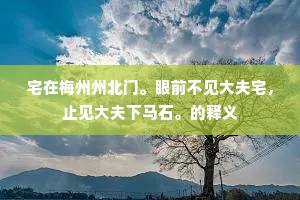 宅在梅州州北门。眼前不见大夫宅，止见大夫下马石。的释义