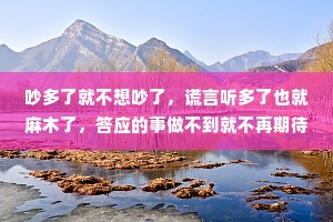 吵多了就不想吵了，谎言听多了也就麻木了，答应的事做不到就不再期待了。总有一天你会明白，你想要的那么简单，他却做不到……其实不是做不到，而是不想做。