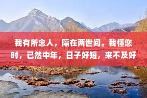 我有所念人，隔在两世间。我懂您时，已然中年，日子好短，来不及好好告别;日子又好长，有一辈子的时间去怀念。