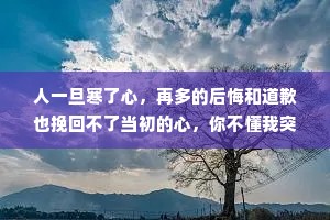 人一旦寒了心，再多的后悔和道歉也挽回不了当初的心，你不懂我突然的沉默,又怎会懂我不想说的难过树叶不是一天黄的，人心不是一天凉的，如果我变了，你打心底问一下，你是怎么对我的。