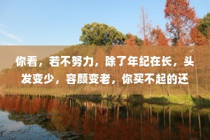 你看，若不努力，除了年纪在长，头发变少，容颜变老，你买不起的还是买不起，你喜欢的人还是与你无关。