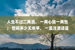 人生不过二两酒， 一两心酸一两愁； 世间多少无奈事， 一壶浊酒话温柔。