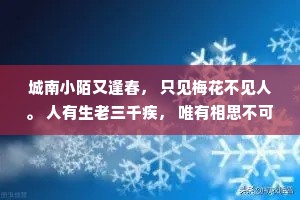 城南小陌又逢春， 只见梅花不见人。 人有生老三千疾， 唯有相思不可医。 世间良药千百味， 却无一味治情痴。 解铃还须系铃人， 心病还须心药医。