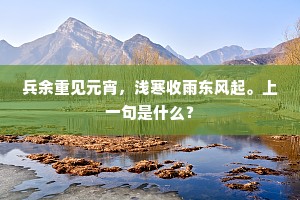 兵余重见元宵，浅寒收雨东风起。上一句是什么？