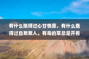 有什么抵得过心甘情愿，有什么蠢得过自欺欺人。有毒的草总是开着最迷人的花，伤害你的人总是说着最爱你的话。