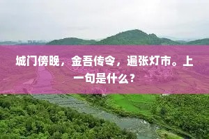 城门傍晚，金吾传令，遍张灯市。上一句是什么？
