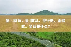 望愔愔巷陌，星毬散乱，经行处、无歌吹。全诗是什么？