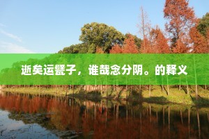 逝矣运甓子，谁哉念分阴。的释义