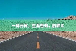 一样元宵，生涯各做。的释义