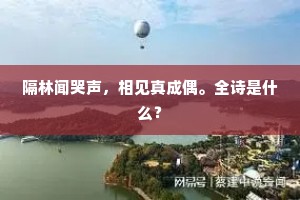 隔林闻哭声，相见真成偶。全诗是什么？