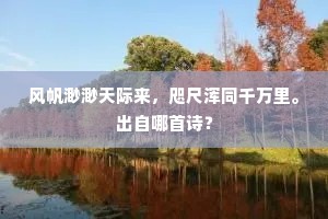 风帆渺渺天际来，咫尺浑同千万里。出自哪首诗？
