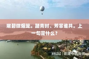 嫩碧微烟笼。踏青时、芳菲谁共。上一句是什么？