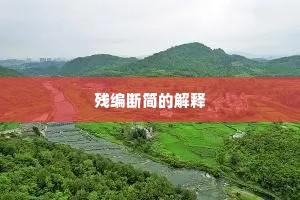 残编断简的解释