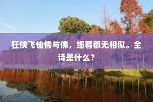 狂侠飞仙儒与佛，细看都无相似。全诗是什么？