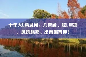十年大祲精灵闭。几曾经、鲸呿鳌掷，凤饥麟死。出自哪首诗？