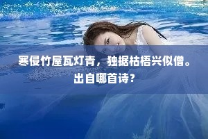 寒侵竹屋瓦灯青，独据枯梧兴似僧。出自哪首诗？