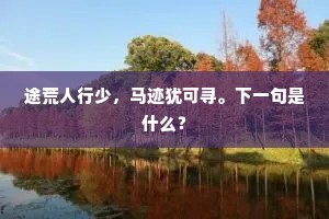 途荒人行少，马迹犹可寻。下一句是什么？