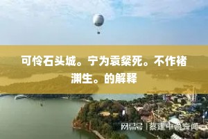 可怜石头城。宁为袁粲死。不作褚渊生。的解释