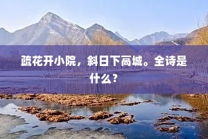 疏花开小院，斜日下高城。全诗是什么？