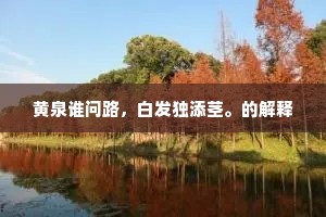 黄泉谁问路，白发独添茎。的解释