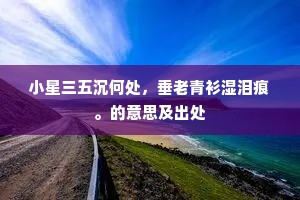 小星三五沉何处，垂老青衫湿泪痕。的意思及出处