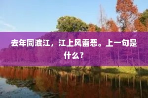 去年同渡江，江上风雷恶。上一句是什么？