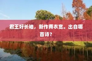 君王好长袖，新作舞衣宽。出自哪首诗？