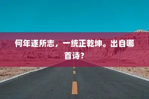 何年遂所志，一统正乾坤。出自哪首诗？