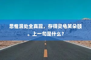 思惟泯处全真现，存得灵龟笑朵颐。上一句是什么？