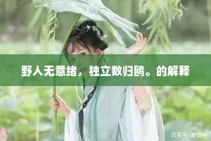 野人无意绪，独立数归鸥。的解释