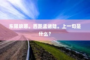 东限琅琊。西距孟诸陆。上一句是什么？