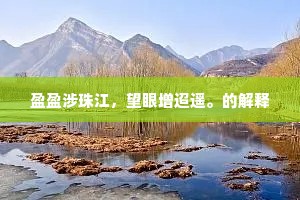 盈盈涉珠江，望眼增迢遥。的解释
