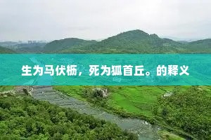 生为马伏枥，死为狐首丘。的释义