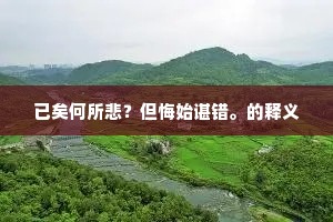 已矣何所悲？但悔始谌错。的释义
