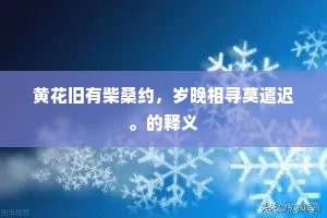 黄花旧有柴桑约，岁晚相寻莫遣迟。的释义