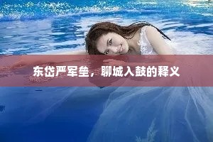 东岱严军垒，聊城入鼓的释义