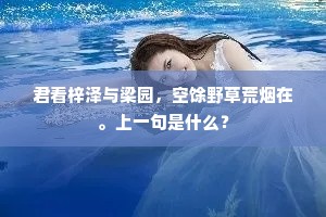 君看梓泽与梁园，空馀野草荒烟在。上一句是什么？