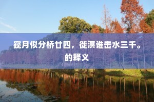 窥月似分桥廿四，徙溟谁击水三千。的释义