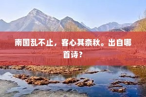 南国乱不止，客心其柰秋。出自哪首诗？
